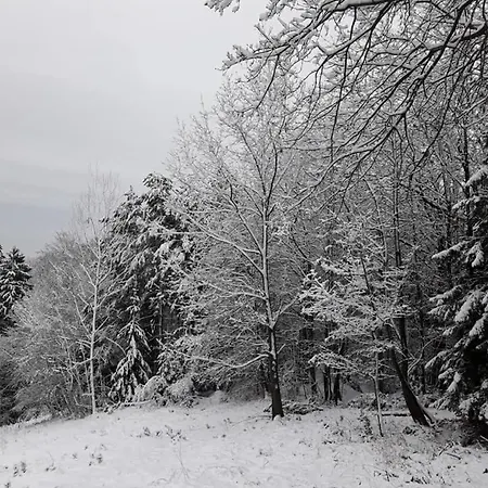 Brunarica Karin Maribor